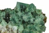 Fluorite Crystal Cluster - Rogerley Mine #143039-2